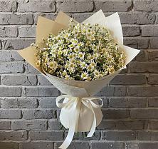 Букет цветов из:  Ромашки #REPLACE_PRED# Аскизе