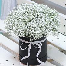Цветочная композиция из Гипсофила в шляпной коробке #REPLACE_PRED# Аскизе